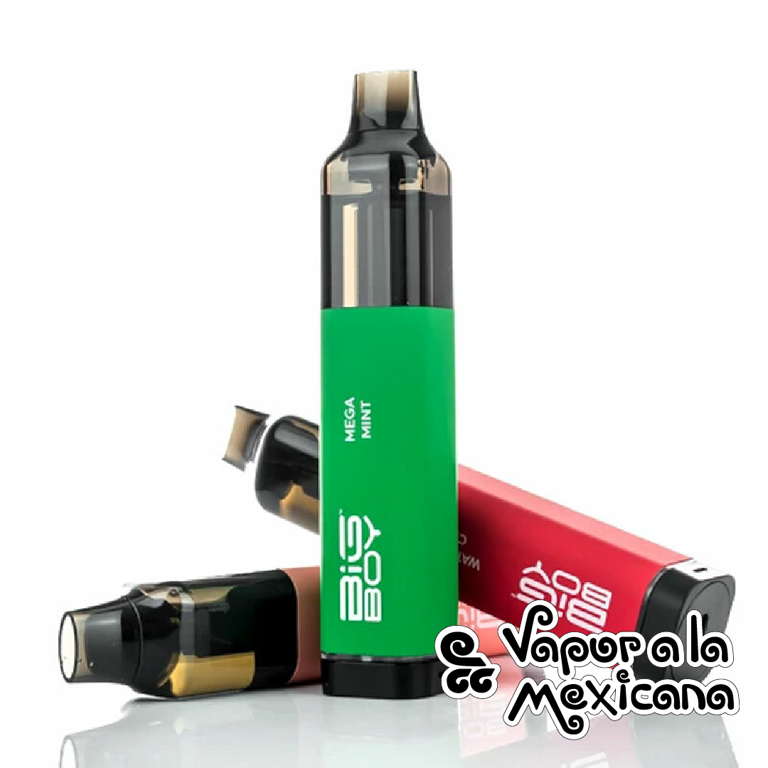 Rechargeable Disposable (4000puffs) | Big Boy