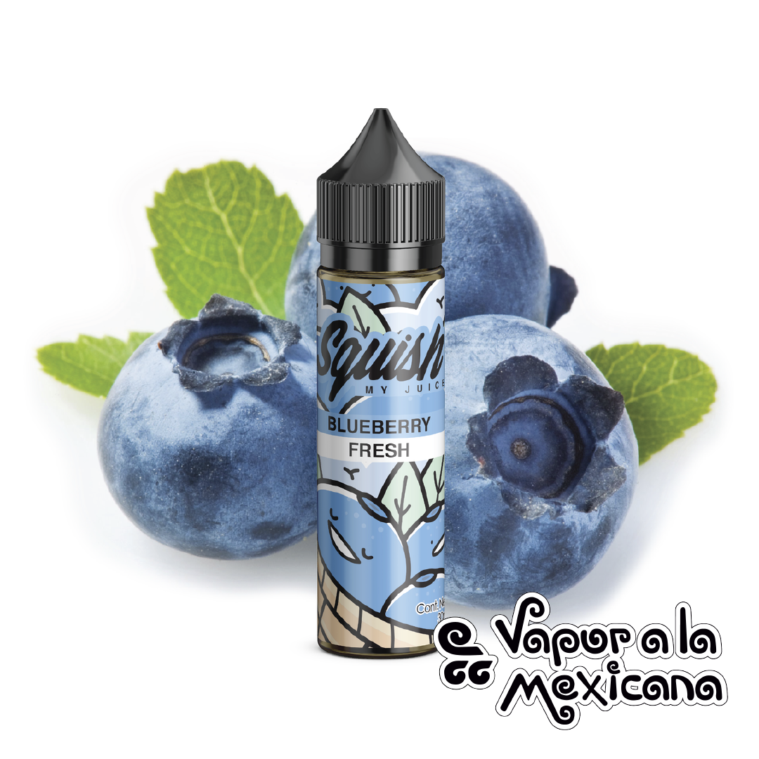 Blueberry Fresh 60ml | Squish My Juice