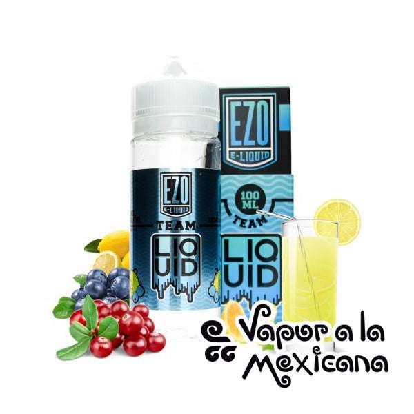 Liquid 100ml | Ezo