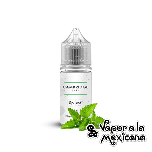 Spearmint NicSalts 10ml | Cambridge Labs