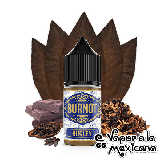 Burley NicSalts 30ml | Burnot