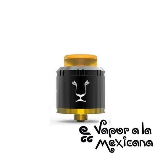 Aladdin RDA | KAEES